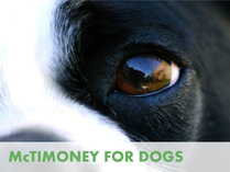 Click here to learn more about McTimoney for Dogs