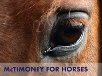 Click here to learn more about McTimoney for Horses